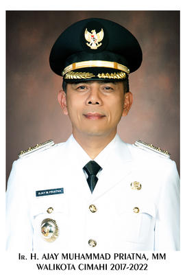 Ir. H. Ajay Muhammad Priatna, MM